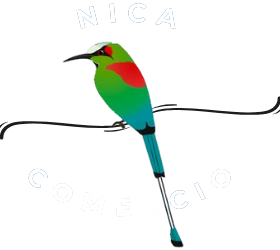Logotipo de Para Nicas